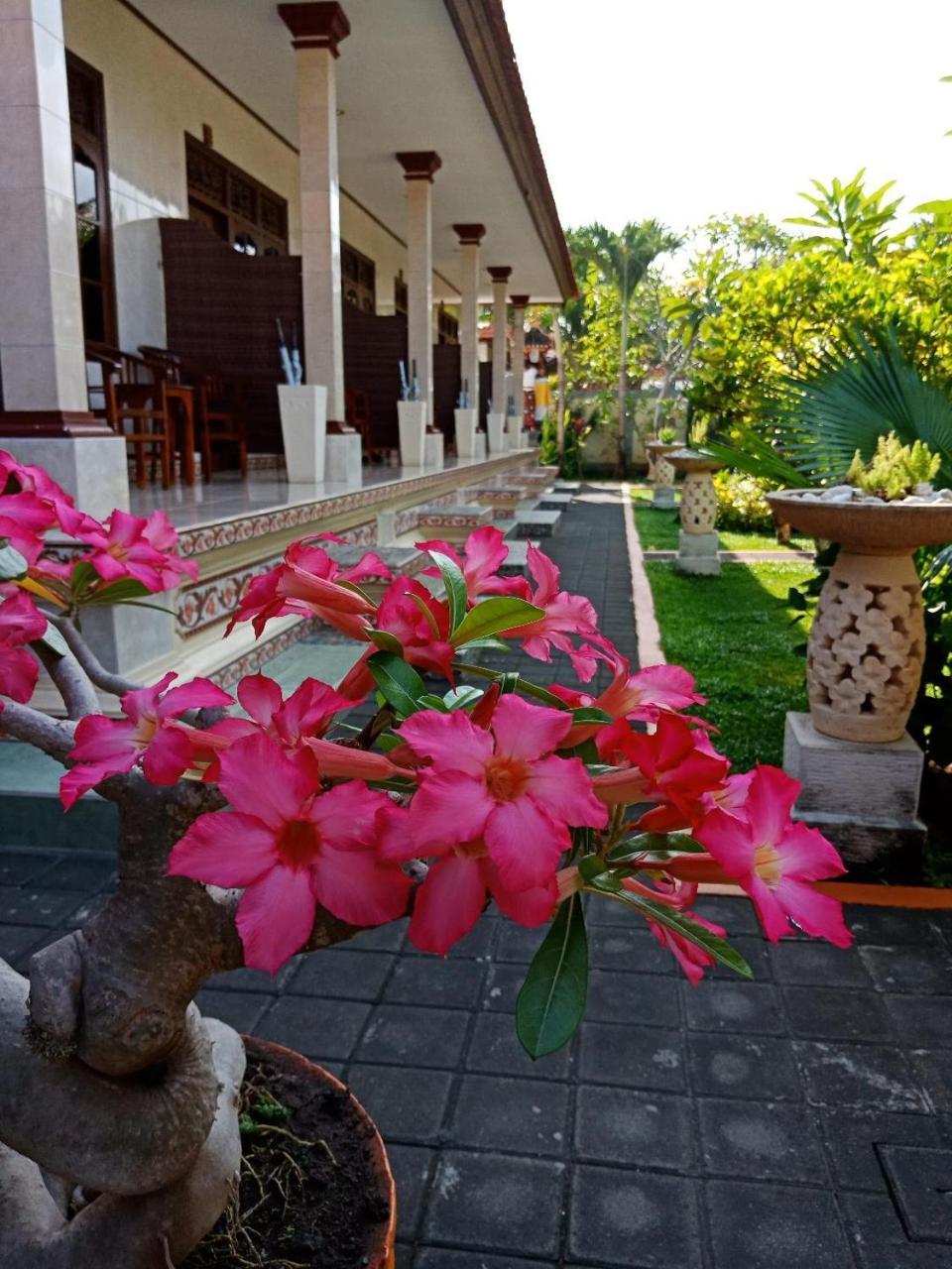 Frangipani Homestay Nusa Dua (Bali) Exterior foto